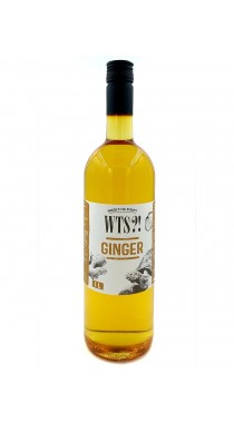 Имбирь cироп WTS, бутылка стекло 1 литр