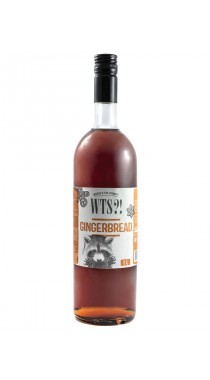 Имбирный пряник сироп WTS, бутылка стекло 1 л